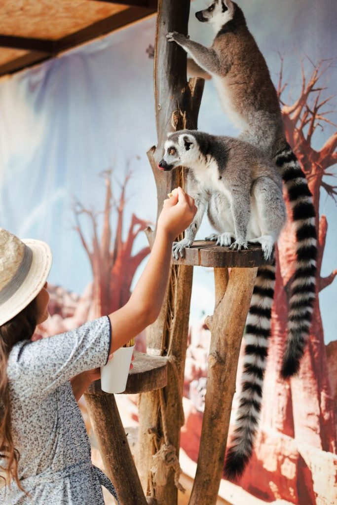 zoologiste